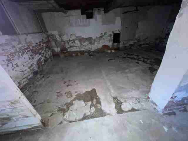 17257 bloom (51).jpg